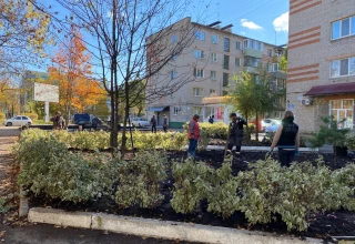 Благоустройство клумбы по улице Суханова, Уссурийск