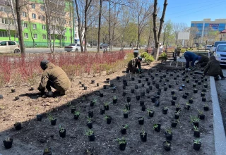 Благоустройство клумбы по улице Суханова, Уссурийск