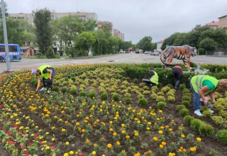 Благоустройство кольца возле ЖД вокзала, Уссурийск