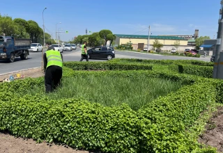 Благоустройство кольца по улице Комсомольской, Уссурийск